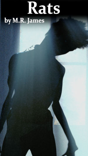 Rats
